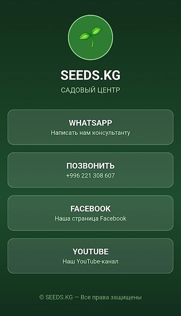 адресная лента: Привет! Я делаю удобные страницы-визитки для бизнеса и мастеров — 1