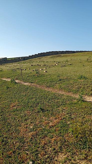Torpaq sahələrinin satışı: Tikinti — 8