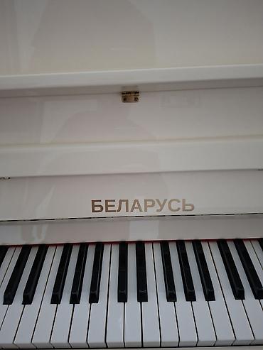 elektron piano: Piano, Belarus, Akustik, Yeni, Pulsuz çatdırılma — 3