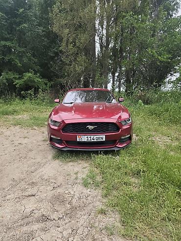 mustang: Ford Mustang: 2017 г., 3.7 л, Автомат, Бензин, Купе — 5
