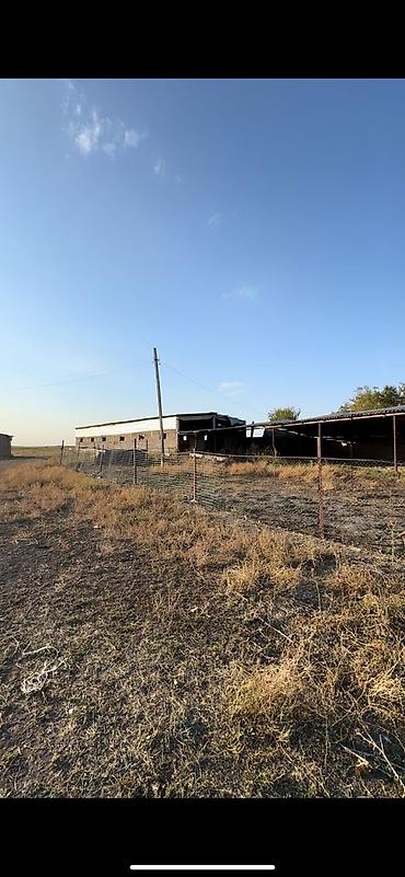 оптовый товар: Farm КРС, 97 соток, Действующий, Частично с оборудованием, Электричество, Скважина — 8