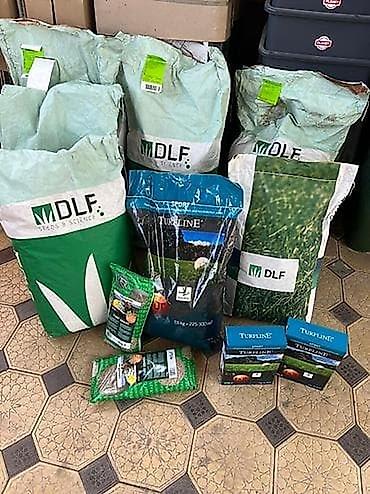 Семена газона: Семена гозона 🌱за 10 дней Из Европы 🇪🇺 производство Дания. Линейка — 1