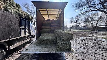 Корма для с/х животных: Сено в тюках 2 кос беде самовывоз - Формат: прямоугольные тюки — 8