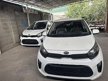 moning: Kia Picanto: 2019 г., 0.1 л, Автомат, Бензин, Хэтчбэк — 1
