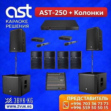 Профессиональный комплект для караоке AST-250 + Колонки Полный набор