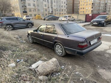 Mercedes-Benz: Mercedes-Benz W124: 1991 г., 2.5 л, Механика, Дизель, Седан