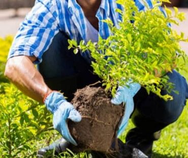 Другие услуги: Сделали ландшафтный дизайн? Нужно поддерживать его в идеальном — 7