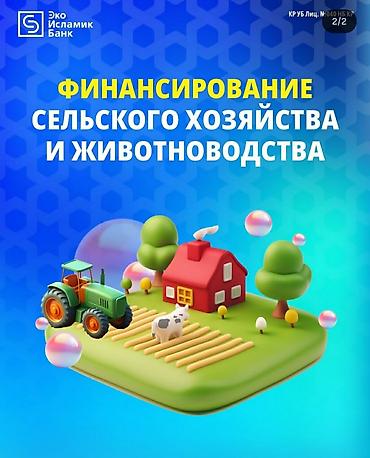 sprinter 315: Хотите приобрести автомобиль, но не хватает средств? Не проблема — мы — 5