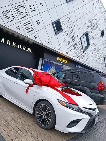 Организация мероприятий: Организация мероприятий | Оформление мероприятий — 14