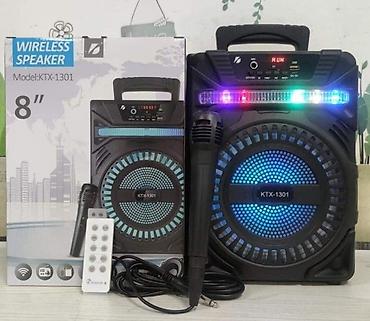 karaoke ses sistemi: Dinamik "KTX 1301" Keyfiyyətli ve münasib qiymətə karaoke kolonka KTX — 1