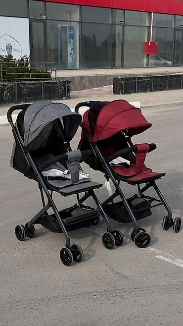 коляска bugaboo: Коляска, Новый, Самовывоз, Бесплатная доставка — 1