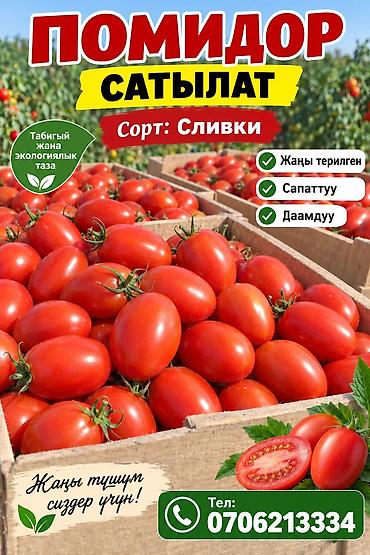 ячмень аталык: Помидоры Сливки — 1