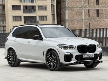подсветка двери с логотипом марки автомобиля: BMW X5: 2019 г., 3 л, Автомат, Бензин, Кроссовер