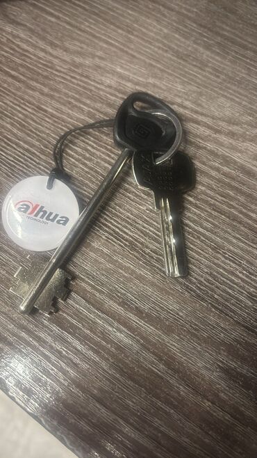 Другая автоэлектроника: Чип ключ для домофона чип ключ от домофонов Чип ключ калитка Чип ключ — 10