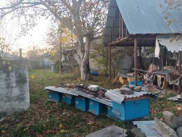 Həyət evi alıram: 128 kv. m, 8 otaq, Qaz, İşıq, Su — 3