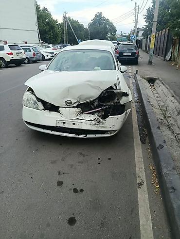 fit aria: Разбор на запчасти: Nissan Primera P12 (седан/лифтбек), белый цвет — 2