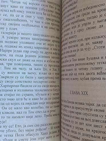 Knjiga: Tom Sojer – Mark Tven (ћирилица) - Izdavač: MERLYN COMPANY — 5