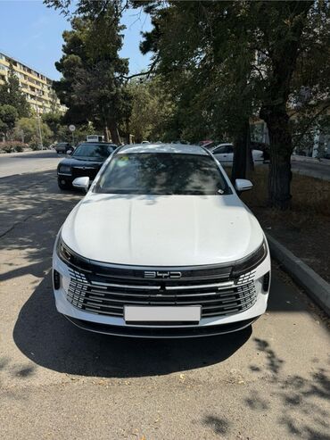 BYD: BYD Destroyer 05: 1.5 l | 2024 il 10000 km Sedan — 1