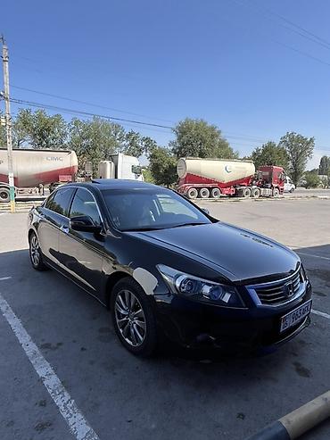чехлы бу: Honda Accord: 2011 г., 3.5 л, Автомат, Бензин, Седан — 2