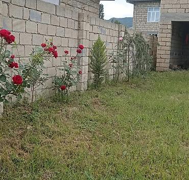 montində satılan evlər: 6 otaqlı, 130 kv. m, Kredit yoxdur, Orta təmir — 3