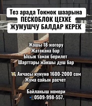 брюки слаксы: Талап кылынат Ар түрдүү жумуштарды жасаган жумушчу, Төлөм Күнүмдүк, Тажрыйбасыз