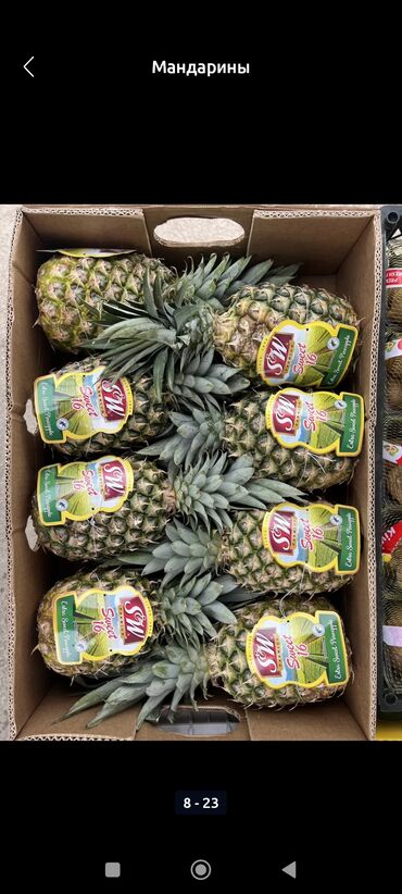 Мандарины: Мандарины Оптом — 5