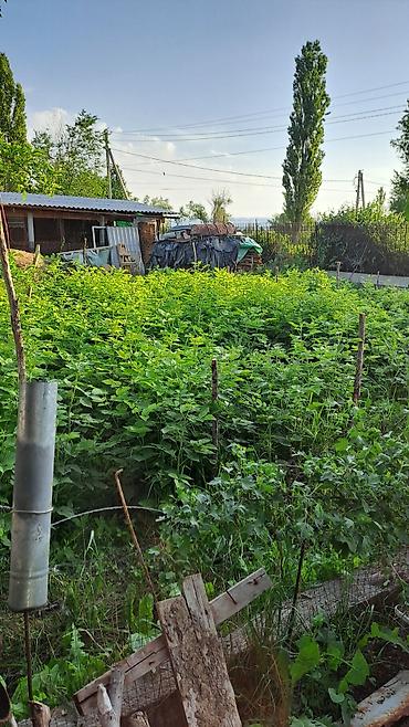 Продажа участков: 10 соток, Для сельского хозяйства, Красная книга — 5