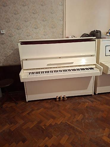 çadr: Piano, Belarus, Akustik, Yeni, Pulsuz çatdırılma — 2
