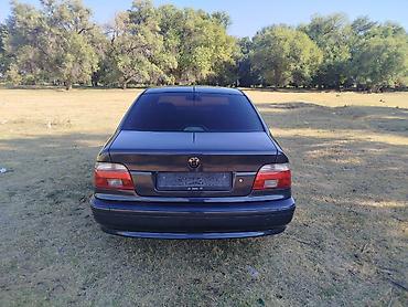 BMW: BMW 5 series: 2002 г., 2.5 л, Механика, Бензин, Седан — 3