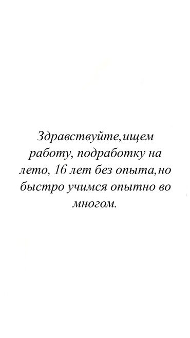 работа в чолпон ате официант: Официант. Без опыта
