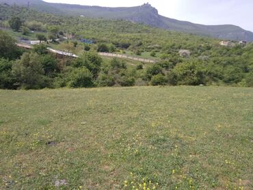 bərdə rayonu: 6 sot, Mülkiyyətçi, Kupça (Çıxarış)