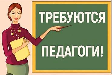 волейбол тренер: Вакансия: педагог. (классные руководители учитель по русскому языку — 1