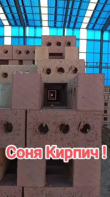 Тешиктүү, Бышкан кирпич, Жарым блок, 250×120×90
