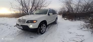 BMW: BMW X5 M: 2005 г., 4.4 л, Автомат, Бензин, Внедорожник — 4
