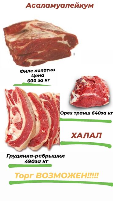 оптовые цены на мясо: Асаламуалейкум продаю мясо!!! Халяль, филе 600, 0рех транш 640