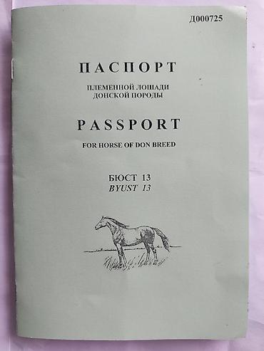 Лошади, кони: Продаю | Жеребенок | Дончак | Для разведения | Племенные — 12