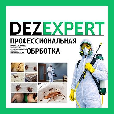 Дезинфекция, дезинсекция: Дезинфекция, дезинсекция, | Блохи, Вирусы, микробы, Клопы, | Дома, Кафе, магазины, Квартиры — 1