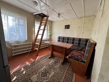 тамчы комнаты: 11 соток, Кызыл китеп — 6