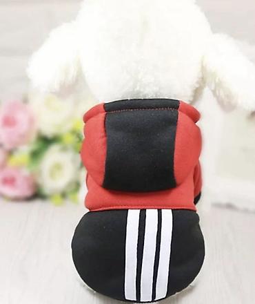 Зоотовары: Одежда для кошек и собак. Все НОВОЕ РАЗМЕР И ЦЕНА УКАЗАНЫ НА ФОТО — 14