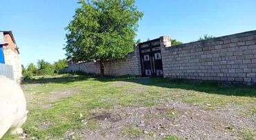 babek prospekti kiraye evler: Balakən, 709200204 kv. m, 4 otaqlı, Hovuzlu