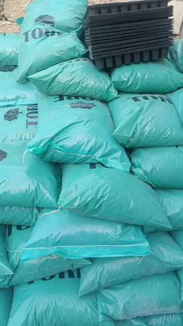 çia toxumu qiymeti: Torf satişi
unvan bine atçilik