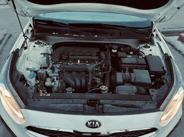 Kia: Kia K3: 2020 г., 1.6 л, Автомат, Бензин, Седан — 11