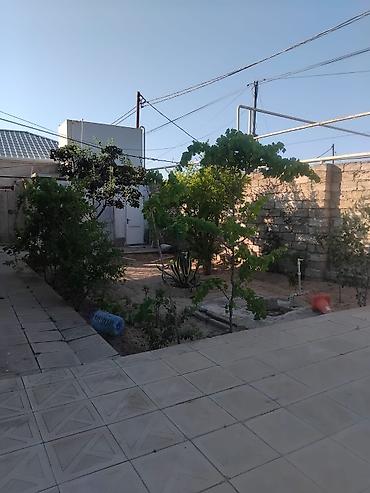 bağca satılır: Bakı, Sabunçu qəs., 80 kv. m, 3 otaqlı, Hovuzlu — 1