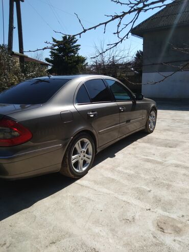 Mercedes-Benz: Mercedes-Benz E 220: 2.2 l | 2008 il Sedan — 11