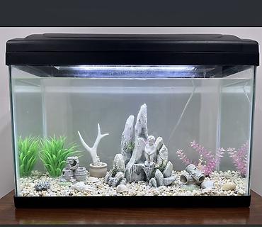 akvarium filteri: Akvaryum dəsti – şüşə korpuslu, qapaqlı və inteqrə LED işıqlı model — 1