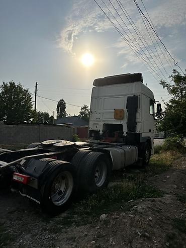 Тягачи: Тягач, DAF, 2004 г., Без прицепа — 13