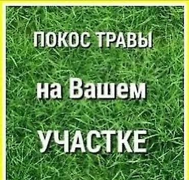 Уборка территории: Уборка территории, Уборка двора и сада — 6