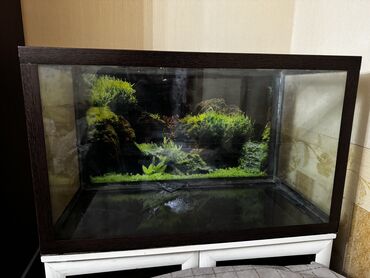 Akvariumlar: Dördbucaqlı Akvarium, Boş, 220 l, Ünvandan götürmə