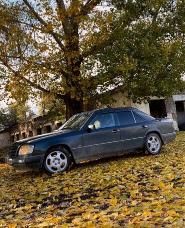 крыша багажника: Mercedes-Benz E-Class: 1995 г., 2.2 л, Автомат, Бензин, Седан