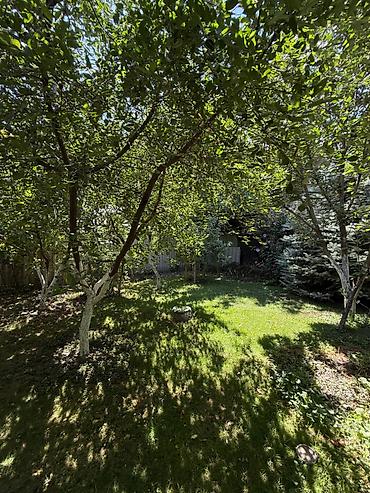 Продажа коттеджей и домов: 3 комнаты, 65 м², 4 соток, Бишкек, Рынок Баят/Азиз Агентство недвижимости — 19